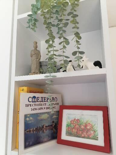 Anka Apartman Smederevo Eksteriør bilde
